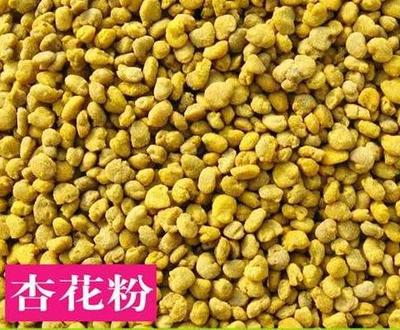 金寶倫 花粉純度98%以上,發芽率70%以上 杏子花粉 歡迎致電