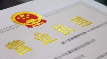 雙11在即 各大電商平臺未注冊商標的商品或將下架